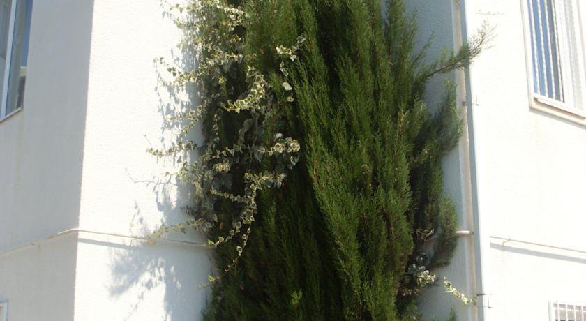 Гостиница Каравелла Гостевой Дом Адлер-11