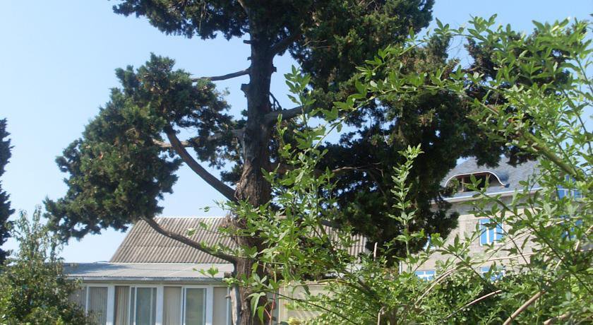 Гостиница Каравелла Гостевой Дом Адлер-14