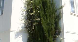 Гостиница Каравелла Гостевой Дом Адлер-7